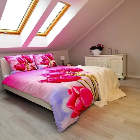 Udany Apartamento Darlowko